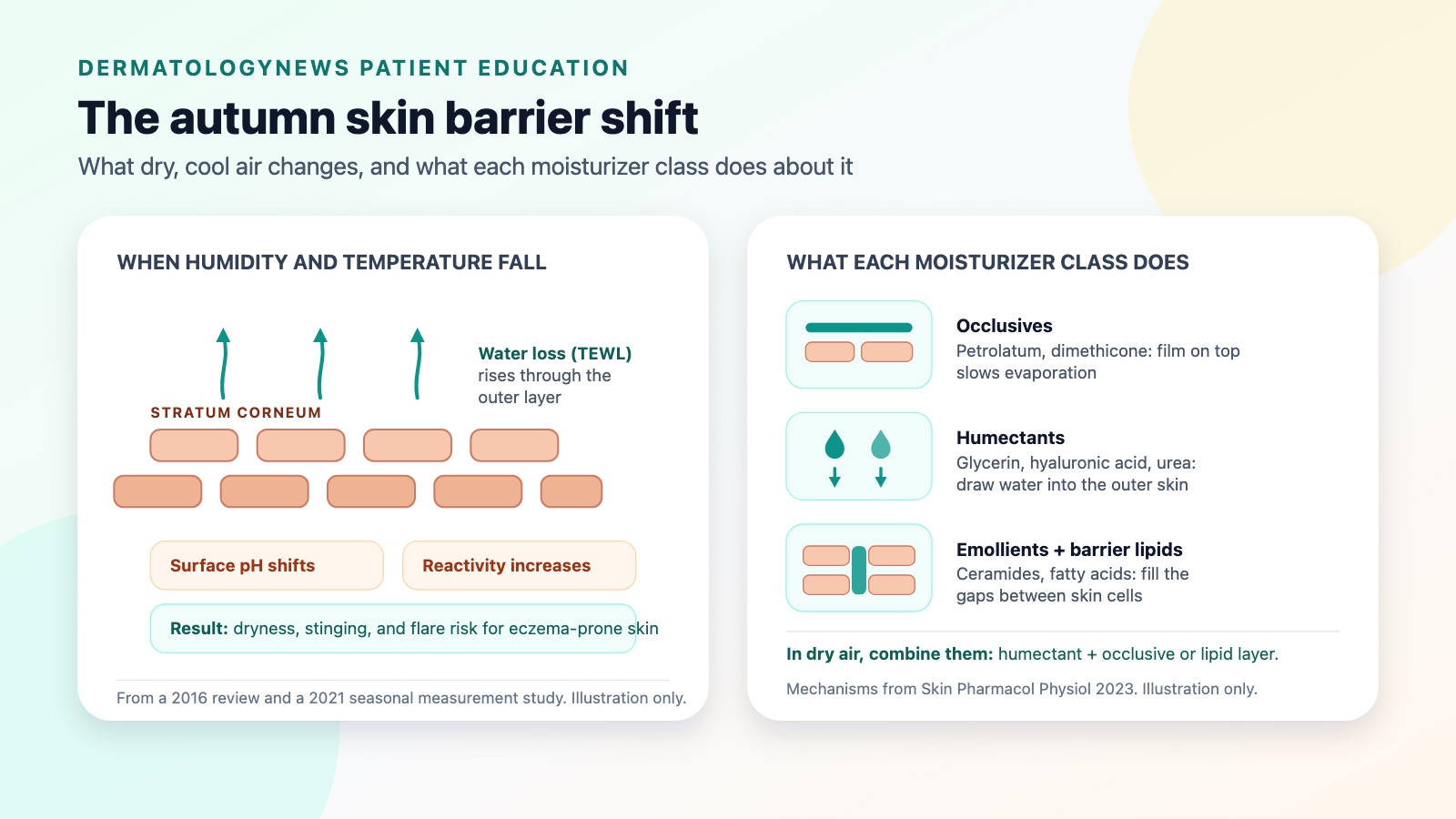 Diagram of what happens to the skin barrier as autumn humidity and temperature fall: transepidermal water loss rises and reactivity increases, with moisturizer classes that counter each change.